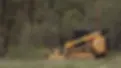 CAT 299 with disc mulcher_pic.webp