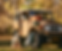 about-us-pic3_edited_edited.png