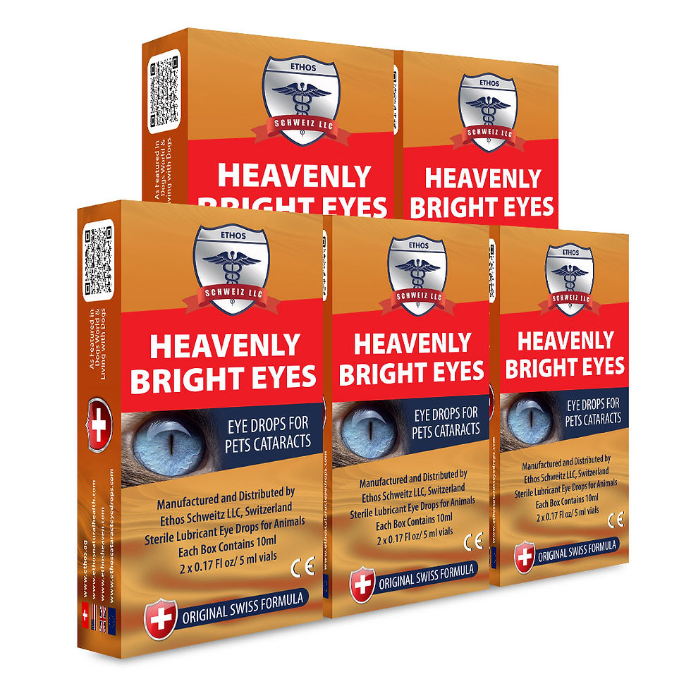 Thumbnail: antioxidant pet eye drops for cataract prevention