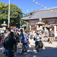 DSC_4005LR.jpg