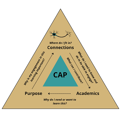COLOUR CAP Triangle #1, #3, #19CAP Connections Academics Purpose.png