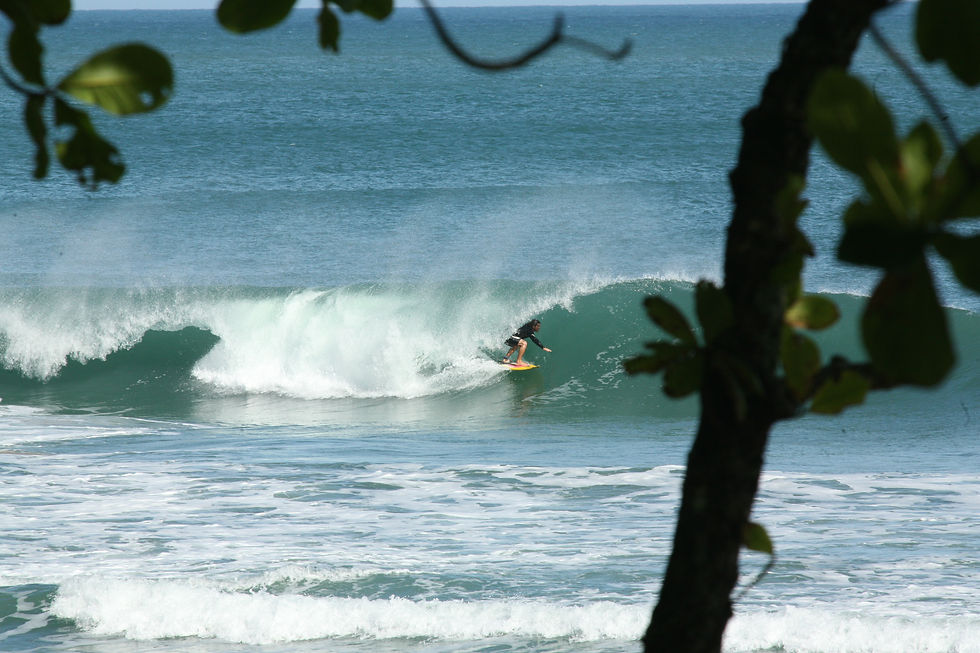 SURFISTA