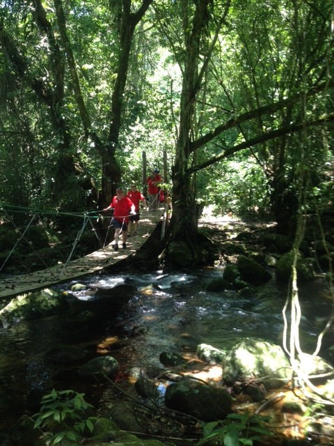 Ponte no parque estadual de Ilhabela