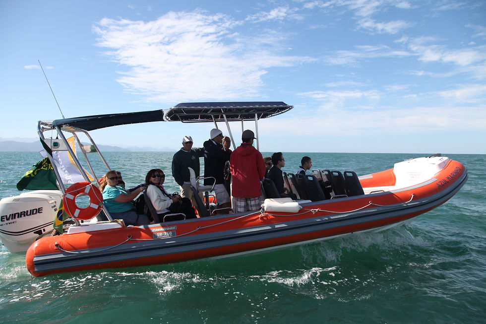 Semana de vela de Ilhabela
