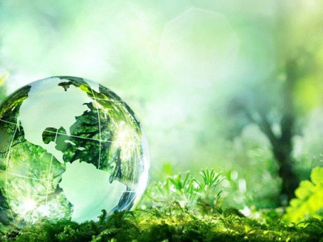 DÌA MUNDIAL DEL MEDIO AMBIENTE