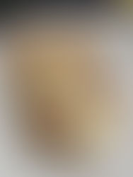 heart shaped cheese on heart shaped bread