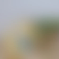 El que no es veu, és el que fa que una festa tingui sentit ✨