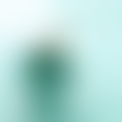 Submergint-nos en Creativitat.