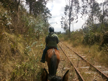 Cabalgata en Zipacón