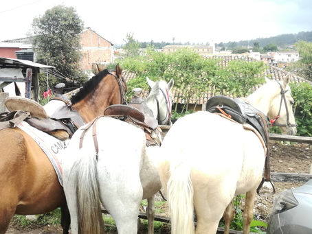 Cabalgata con Expedición Fotográfica Tabio