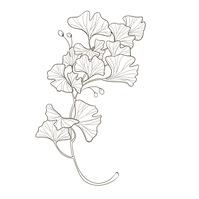 gingkoDesign5.png