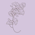 gingkoDesign5_edited.jpg