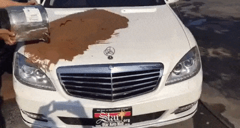 fbea00_71b972f6bd5c4d7b99fd158b2dc02ea5_mv2 (1).gif