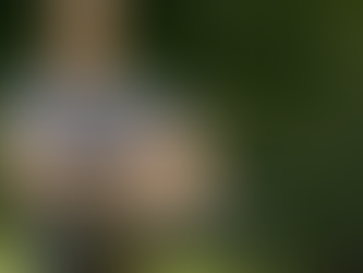 Day 14 | Binary Search | C++