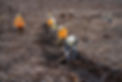 DSC_5106.jpg