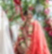 Indian bride 