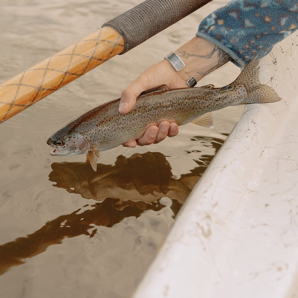 Thumbnail: Intro to Fly Fishing Workshop