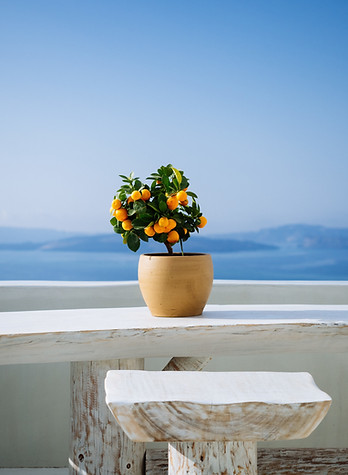 beautiful-orange-plant-pot-white-stone-balcony-greek-island.jpg
