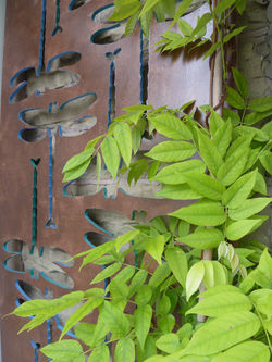 Dragonfly garden trellis