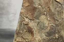Rock, rock art.