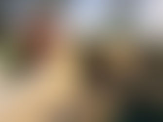 Jamaïque... un accueil incomparable! 