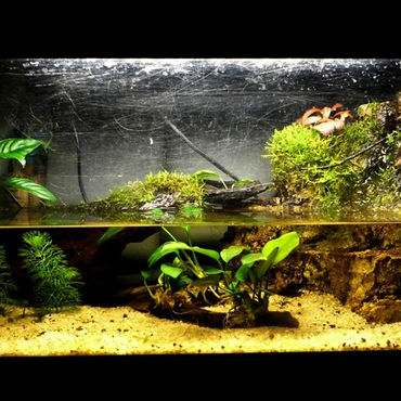 Tolérez-vous trop de violence physique et/ou psychologique?