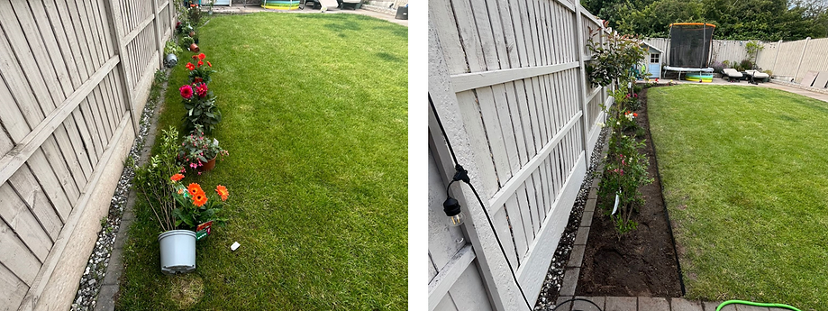 Our brilliant lawn addition