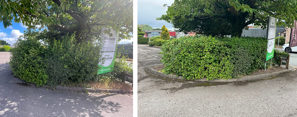 We love to help business and public buildings in our area