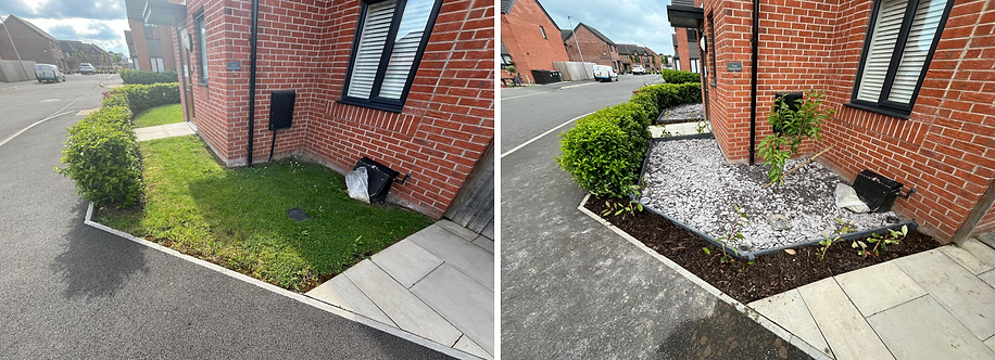 Adds vibrancy and pleasure to the garden!