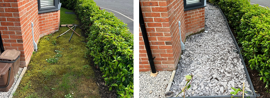 Adds vibrancy and pleasure to the garden!