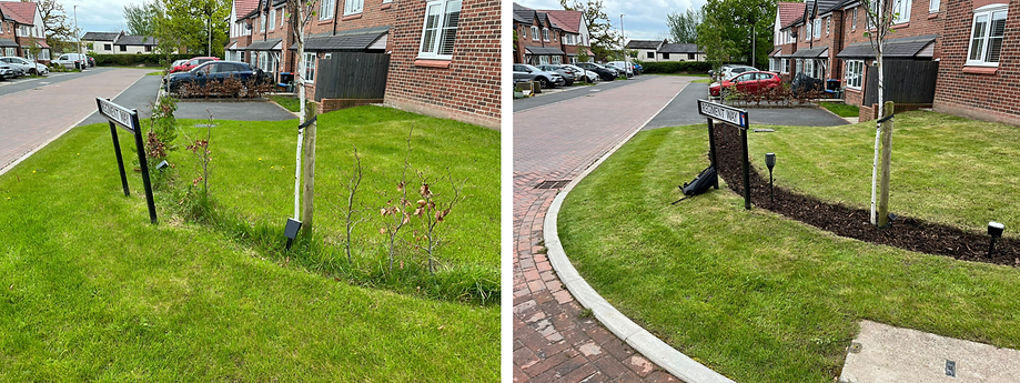 Our brilliant lawn addition