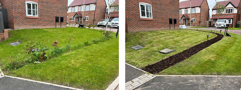 Our brilliant lawn addition
