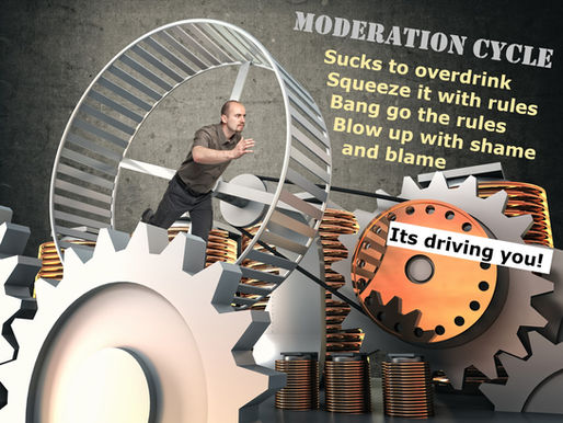 The Moderation Cycle