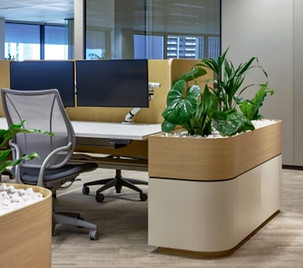 Tasman Custom Joinery Office Furniture