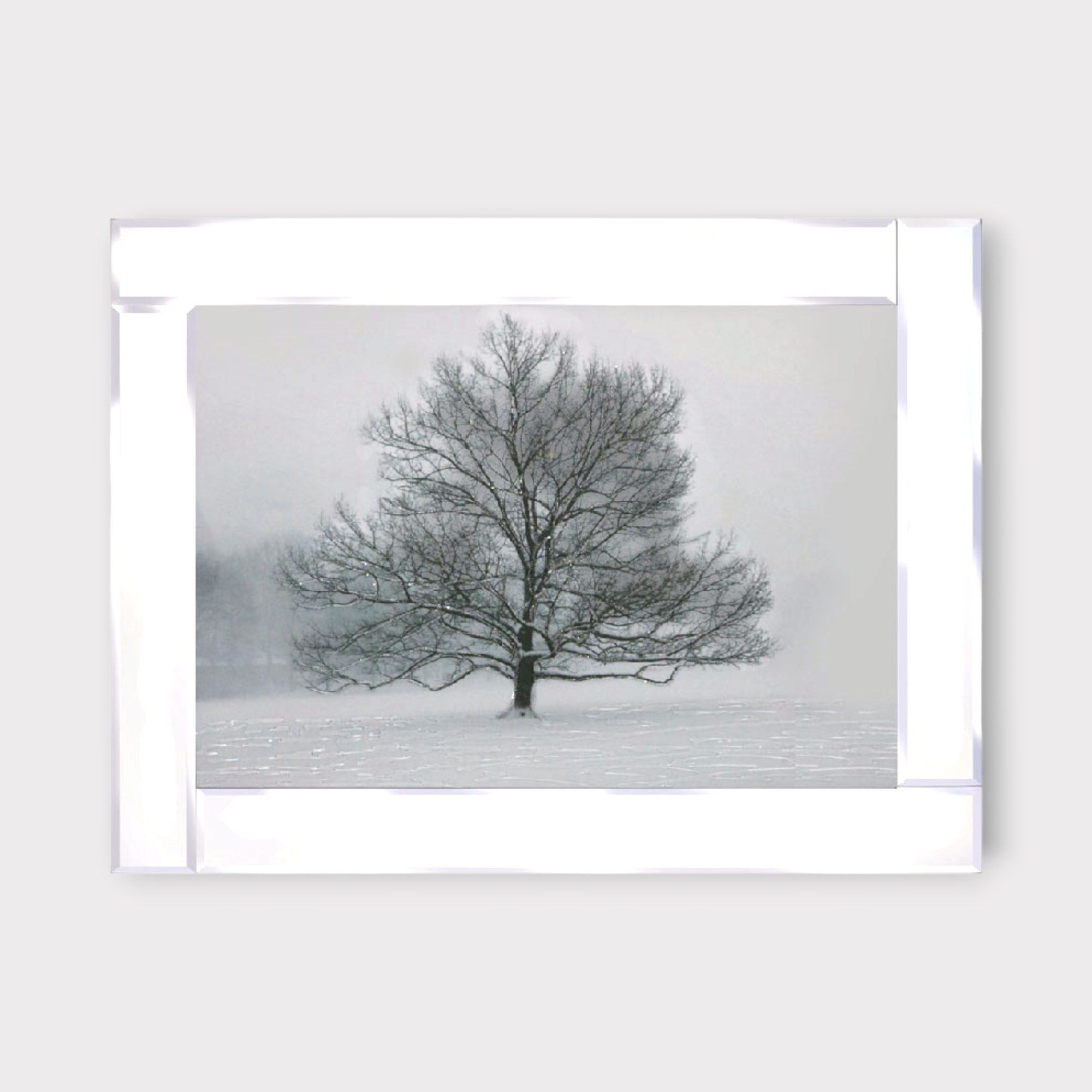 Winter Tree Glass Mirrored Wall Frame - 75x95cm