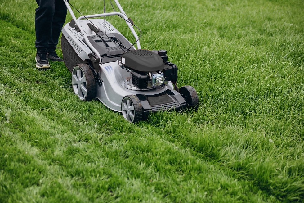Косене на трева и райграс от Eco Expert