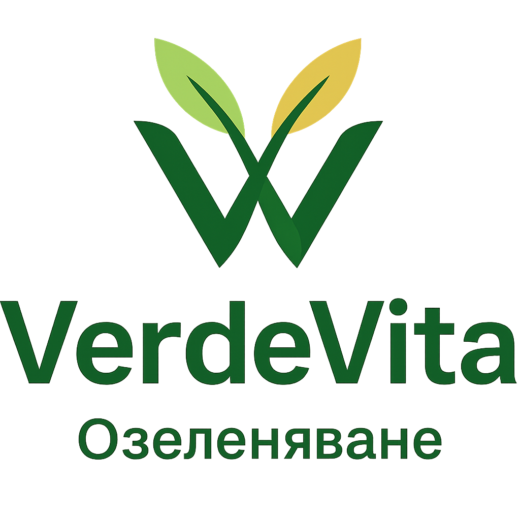 ChatGPT Image Aug 10, 2025, 09_56_17 PM.png