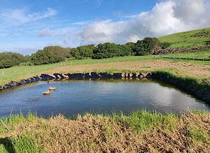 Irrigation pond for agriculture, Kohala, Hawaii.jpg