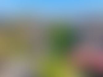 ALAMEDA 94501 94502 Landscape Maintenance Company PUICON Gardens Full-Service Landscaping Maintenance Services Bay Area Residential Homes Commercial Spaces Northern California