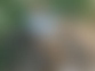 Make your SoCal Trips Easy and Comfortable with RETROSPEC Chatham Rev Electric Beach Cruiser Bike