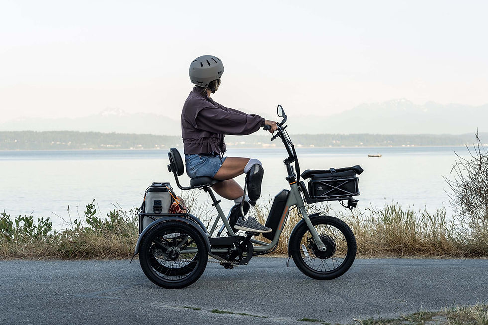 The Los Angeles Electric Bike Shop West Los Angeles ELECTRIC BICYCLES SALES AND SERVICES - We offer Full-Service E-Bike Tune-Ups, Brakes, New Tubes and Tires Repair and Maintenance, and Assembly Services for MARINA DEL REY 90292 We sell Used E-Bikes and New Electric Bicycles Southern California