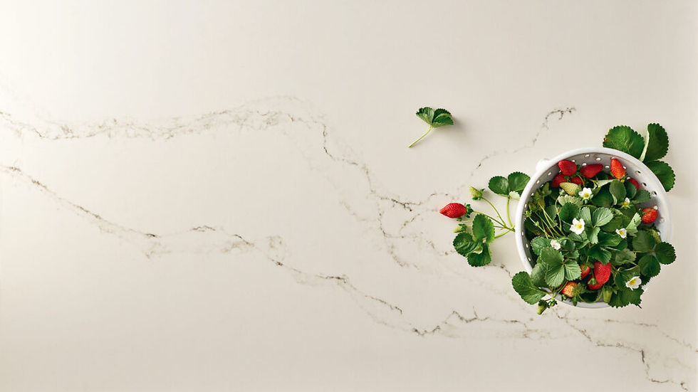 Caesarstone 5111 Statuario Nuvo Quartz Countertop Surfaces Authorized Dealer TODD BRANSON STONEWORKS OAHU Kailua Showroom Honolulu Professional Kitchen and Bathroom Countertop Fabricators Premier Countertop Fabrication and Installation Company 808-646-3884