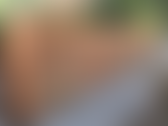 PUICON REDWOOD FENCE SPECIALISTS Custom Redwood Fence Company CLAREMONT BERKELEY 94705 Professional Horizontal and Privacy Fences Repair and Installation Services Bay Area Residential Homes Commercial Spaces Businesses Northern California