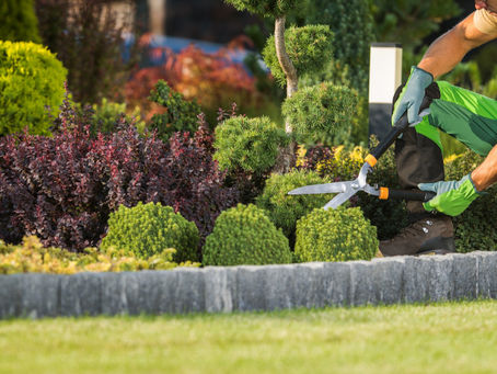 SAN FRANCISCO LANDSCAPING MAINTENANCE Company PUICON GARDENS Landscape and Maintenance Full-Service Landscaping Maintenance Weed Removal, Lawn Mowing, and Bush Trimming by Professional Gardener to Help Elevate Bay Area Homes Landscaping Clean-Up Experts Certified Arborists Northern California Schedule Estimate