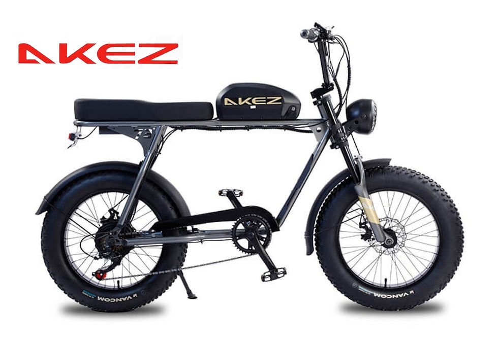 AKEZ S1 Electric Bikes AKEZ S2 Electric Bikes AKEZ S3 Electric Bikes Sales Tune-Ups Repair Maintenance Assembly Full-Services The ReCYCLIST Bike Shop West Los Angeles 90066 AKEZ E-BIKES Authorized Dealer New and Used E-Bikes Venice Playa del Rey Marina del Rey Malibu Santa Monica Costa Mesa 310-905-5386