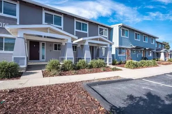 Landscape Maintenance Services Lawn Care Pruning Irrigation Weed Control Landscape Clean-Up Alameda 94501 94502 Business Parks Office Properties Commercial Buildings Puicon Gardens Landscape & Maintenance Bay Area Gardener 510-513-8876