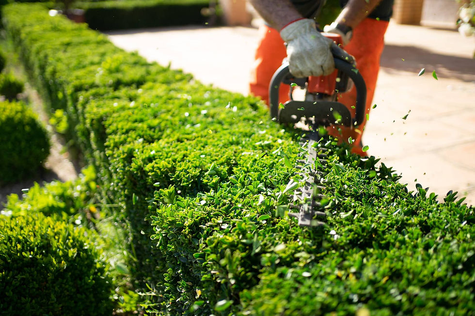 ALAMEDA PIEDMONT BERKELEY Full-Service Landscape Maintenance Company PUICON Gardens Professional Lawn Care & Yard Clean-Up Services BAY AREA Landscape Clean-Up Experts Certified Arborists Serving Residential Homes Property Management Hotels & Resorts throughout Northern California Call: 510-513-8876