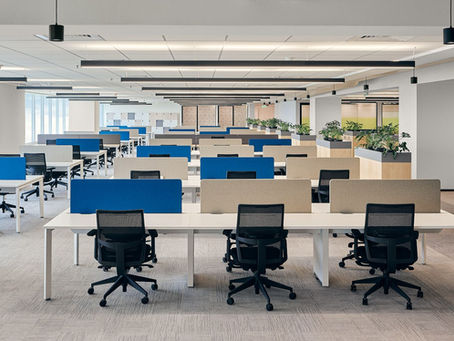 Walnut Creek Bay Area Office Cleaning Company Professional Local Cleaner Northern CA