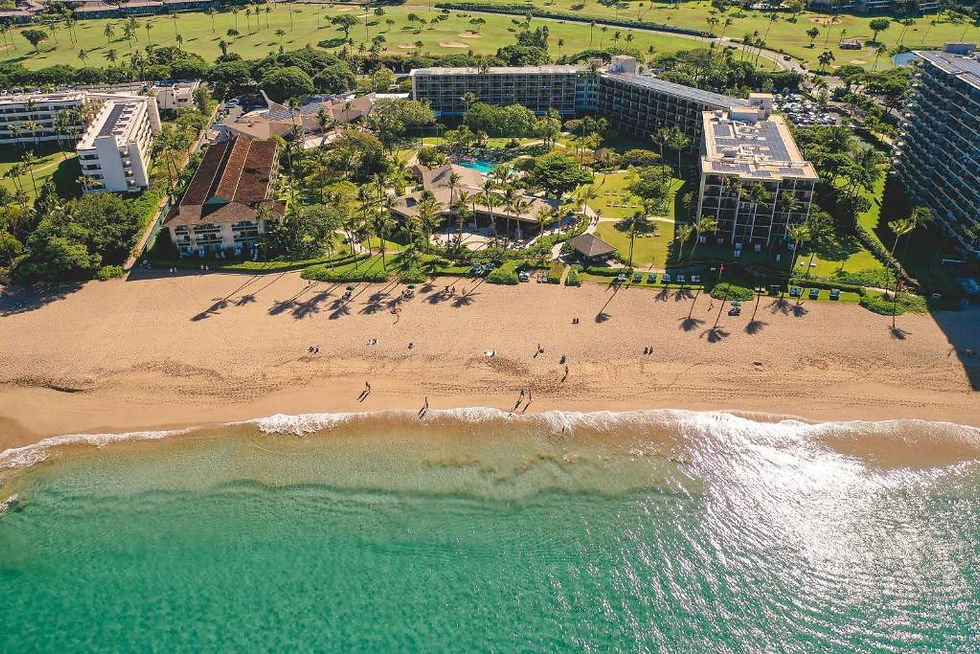 MAUI SUP RENTALS KIHEI 96761 Daily & Weekly Stand Up Paddleboard Rentals - Explore the Waters of West Maui FREE SUP RENTAL DELIVERY and PICK UP to your HOTEL or AIRBNB RENTAL Top SUP Local Rental Shop in the Island! Trusted Experienced Professionals offering Best SUP Rental Rates Call: 808-353-6621