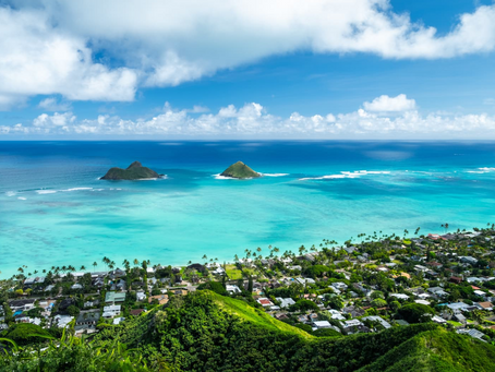 Hawaii Fall Season Home Cleaning Office Cleaning Services OAHU AFFORDABLE HOME CLEANING PROFESSIONALS Deep Cleaning Move-In Cleaning Move-Out Cleaning Airbnb Rentals Cleaning Vacation Rental Cleaning Residential Cleaning Commercial Cleaning Eco-Friendly Cleaning Solutions 808-650-7344